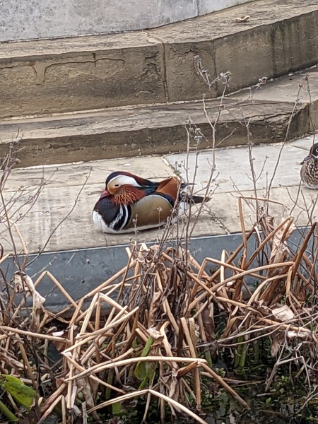 Come and tell us your dull and unexciting news 33: Calmly through the day