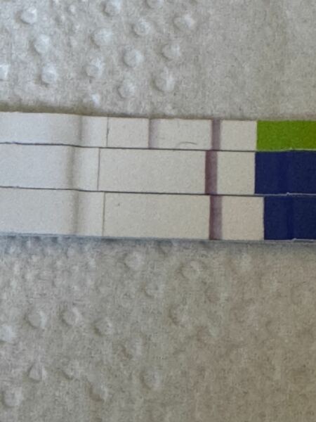 The oldest question in the word… can you guys see a very faint line and if you can does it look like a positive to you?