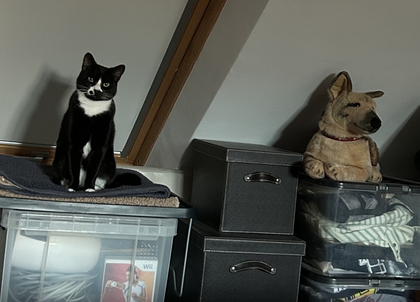 Thread 20 Starmer - Spring Statement