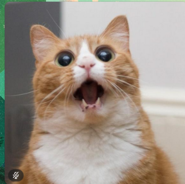 Thread 21 Starmer - Casting Nasturtiums