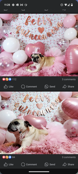 Has anybody organised a quinceañera/ sweet 16 for your DD?