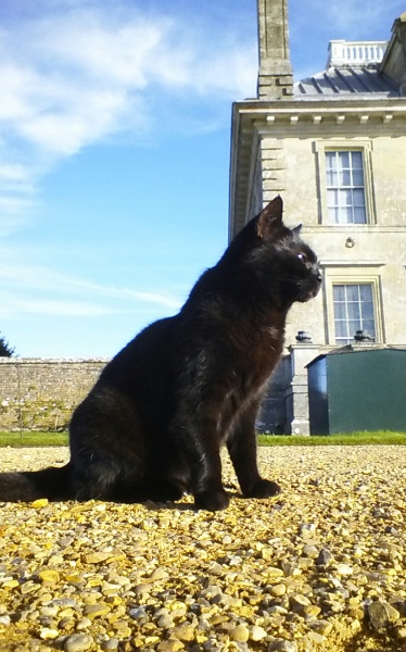 Thread 20 Starmer - Spring Statement