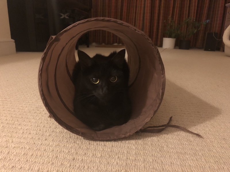 Thread 20 Starmer - Spring Statement