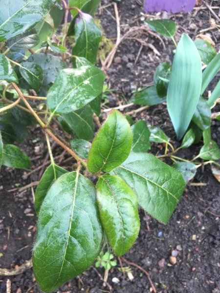 Please help identify these.