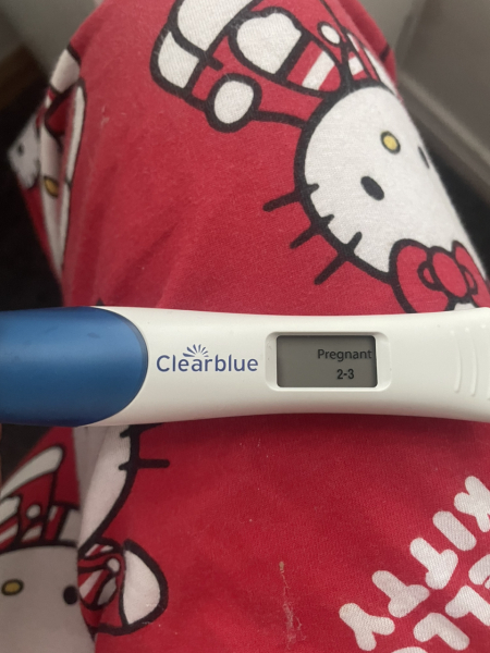 Hospital/pregnancy