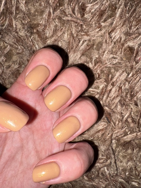 Opinions on this gel nail colour?