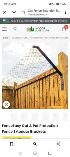 Cat proofing small garden