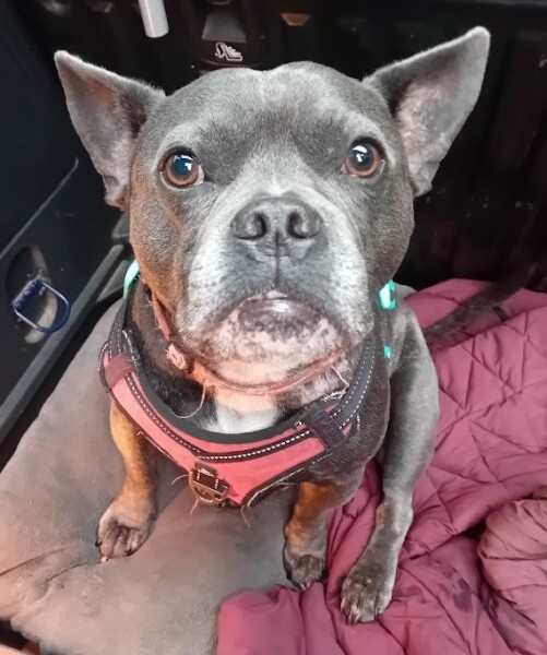 The Continuing Support Thread for Anyone Trying to Lead an Alcohol-Free Life Spring 2025