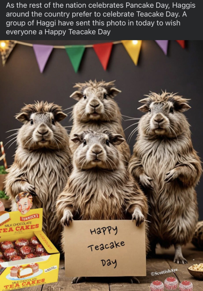 NHS Fife tries to silence nurse - Sandie Peggie vs NHS Fife Health Board and Dr Beth Upton - thread #23