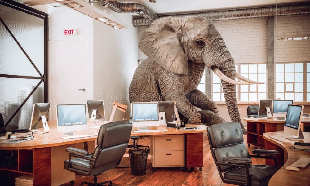 Boss called me an elephant at work