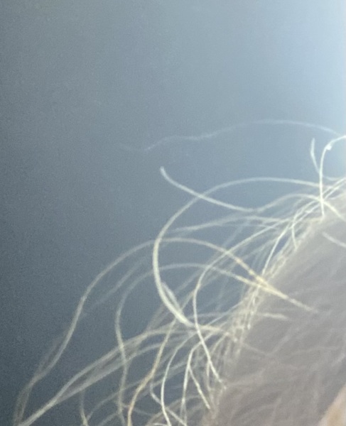 Broken hair!
