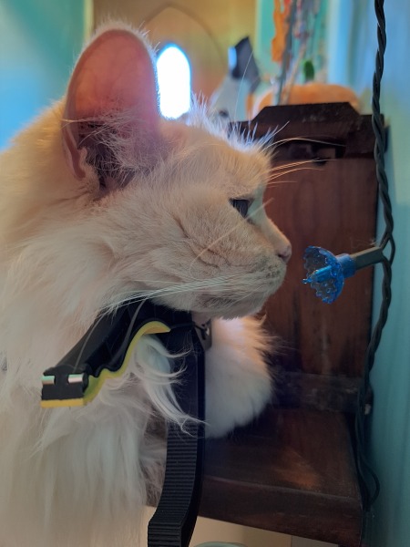 The Year Round Nigel Slater Discussion thread