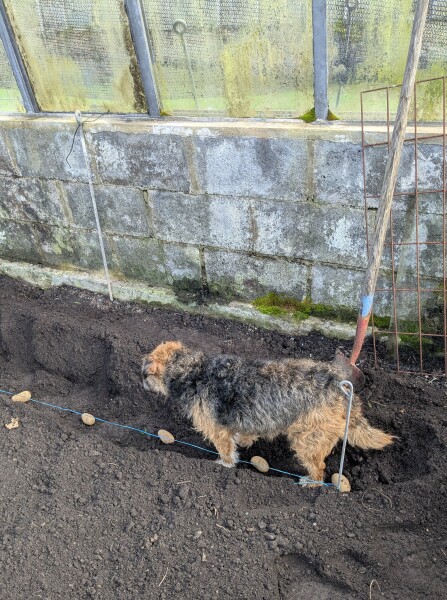 The Year Round Nigel Slater Discussion thread