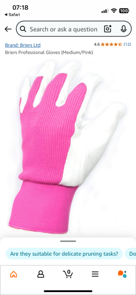 Can anyone recommend gardening gloves that are thin but will protect me from delimiters?