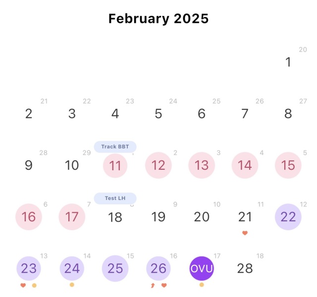 4DPO - Anyone want to join the wait 😴