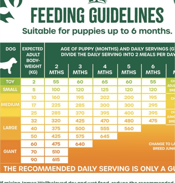 11 week old puppy keeps vomiting