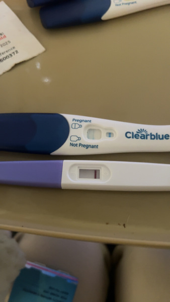 Clear blue test. Evap line or positive