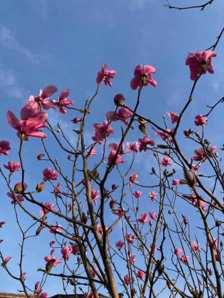 Thread 17 - TalkLair: "Okay, first of all, what's with the outfit? Live in the now, okay? You look like DeBarge."