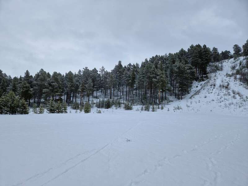 The Year Round Nigel Slater Discussion thread