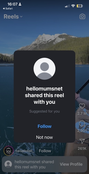 To warn MNers that if you post a link copied from your Facebook or Instagram account you’re outing yourseld