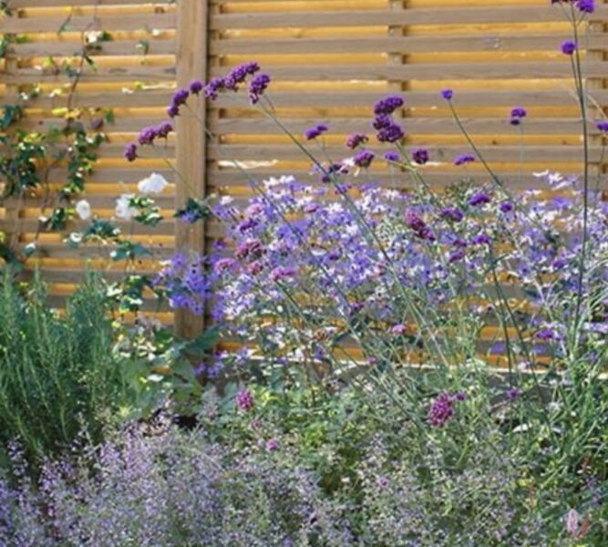 Neighbours window looks into our garden and hosue - I want a fence up!
