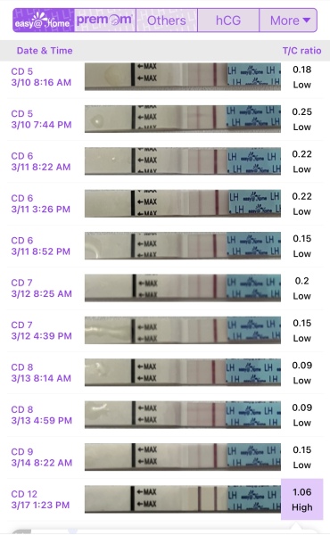 11dpo