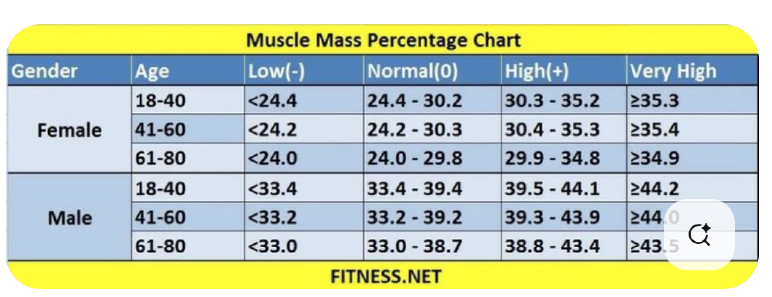 Can I have put in 6lb of muscle?