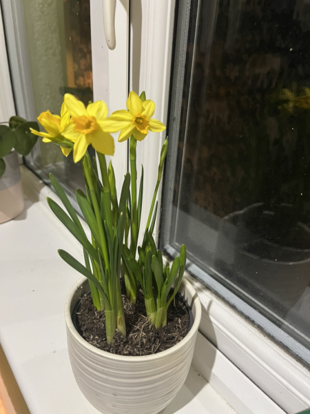 The Year Round Nigel Slater Discussion thread