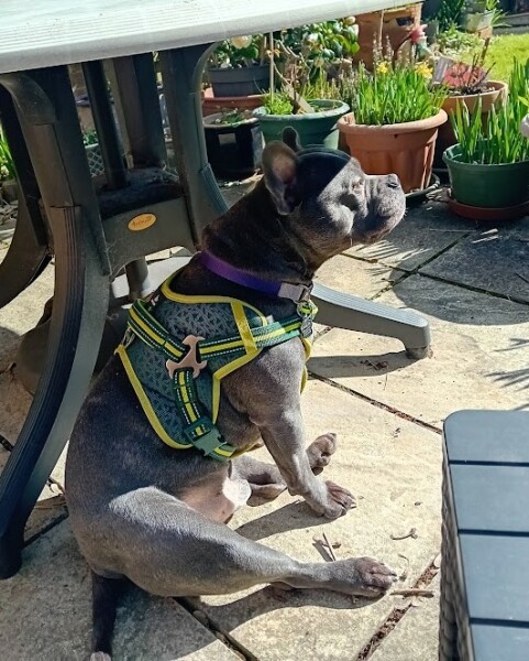 The Continuing Support Thread for Anyone Trying to Lead an Alcohol-Free Life Spring 2025