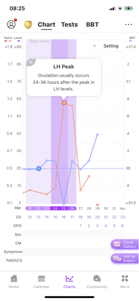 What does my chart say about when I ovukated?