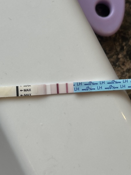10dpo does anybody see it? X