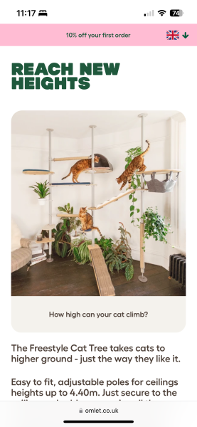 Are Cat Trees Worth It?