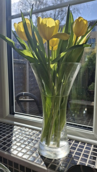 Thread 20 Starmer - Spring Statement