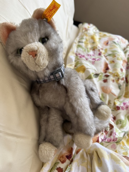 Hymns in Minor Keys & the Russian Easter Overture - the Excellent Cats ignore Culture.....