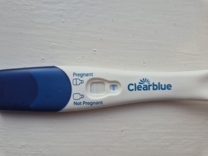 Pregnant or Evap line?