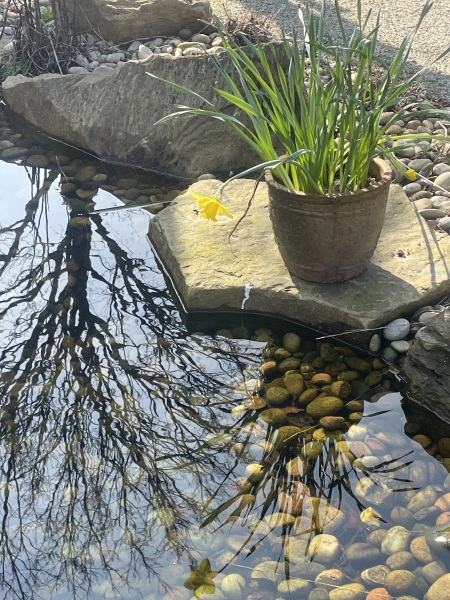 The Year Round Nigel Slater Discussion thread