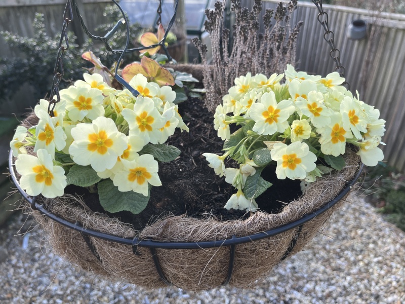 The Year Round Nigel Slater Discussion thread