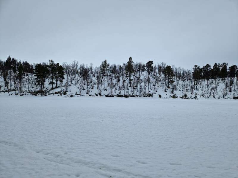 The Year Round Nigel Slater Discussion thread