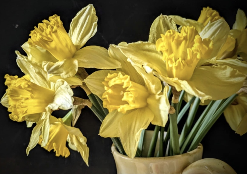 Thread 20 Starmer - Spring Statement