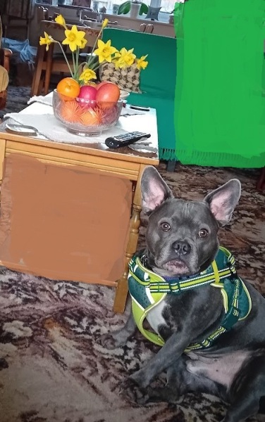 The Continuing Support Thread for Anyone Trying to Lead an Alcohol-Free Life Spring 2025