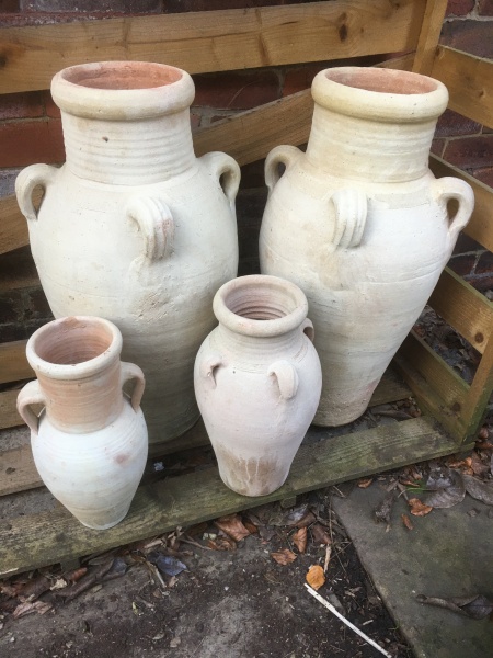 Suggestions please - what to plant in these pots?