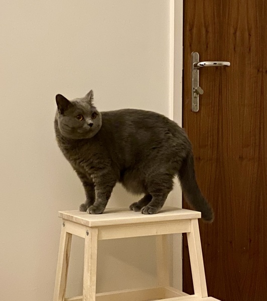 Thread 17 - TalkLair: "Okay, first of all, what's with the outfit? Live in the now, okay? You look like DeBarge."