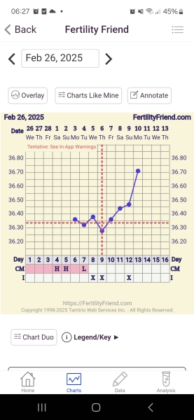 Ovulation after MC