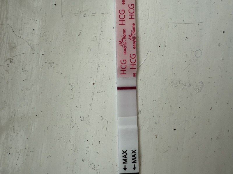 April 2025 TTC Support Group