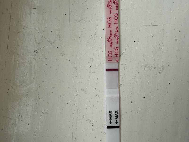 March 2025 TTC support group