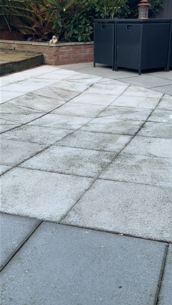 Deep black algae in patio slabs.
