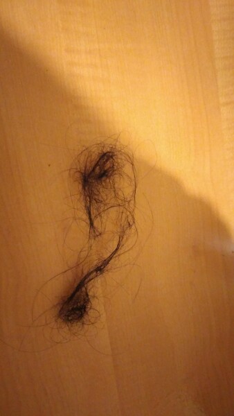 To think this is a lot of hair loss in shower?