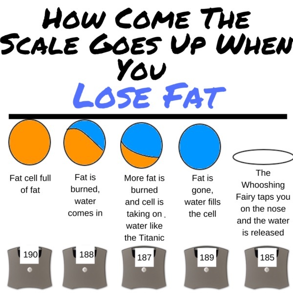 March 2025 starters thread 2