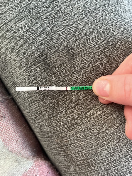 Pregnancy test period 1 day late - help please!