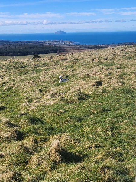 Mounjuro Auggies Thread 13